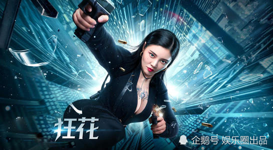 青森大学理工科文凭证书